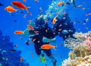 Il Desert Safari a Sharm El Sheikh: Guida Definitiva e Prezzi 2026