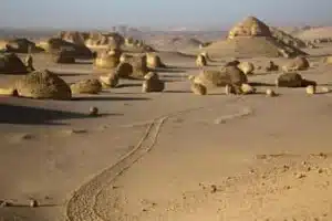 Fayoum Desert Safari Tour from Cairo | Private 4x4 Adventure