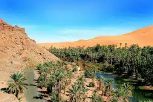 Private Bahariya Oasis Tour from Cairo | Exclusive Desert Safari