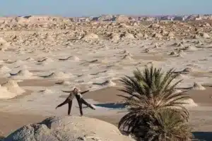 Black Desert and Crystal Mountain Tour from Cairo | Private Safari