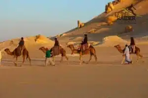Tour Wadi El Hitan dal Cairo | Safari Privato nel Fayoum