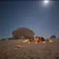 A luxury glamping setup under the stars during a personalised safari tour in Egypt.