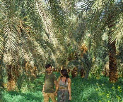 Bahariya , The Natural Springs in 16 places: A Sanctuary of Relaxation and Wellness