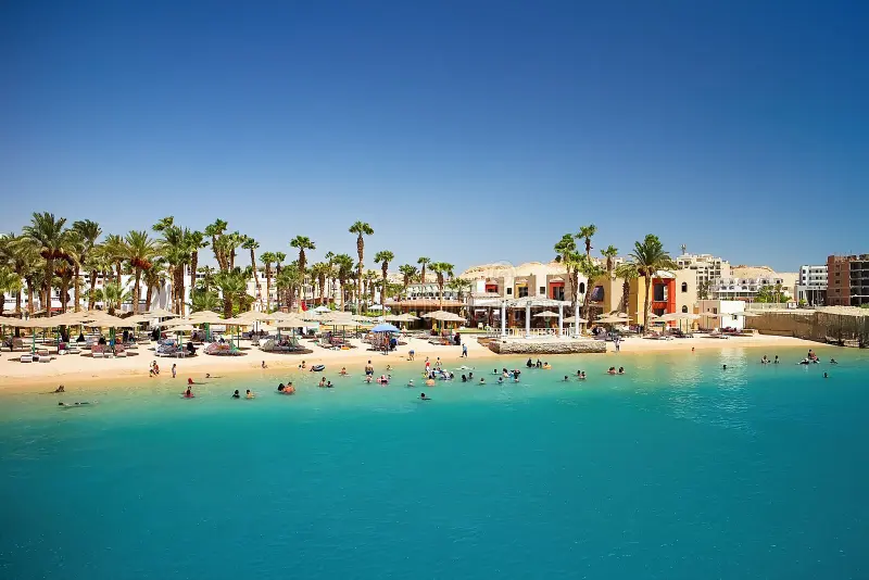beach red sea egyptian hurghada beach red sea egyptian hurghada palm trees sand red sea beautiful summer 124563726