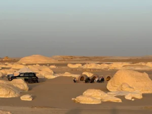 Guida Sahara 2026: Scegliere il Miglior Egypt Desert Safari tra Siwa, Deserto Bianco e Fayoum