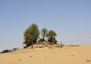 Siwa Oasis Tour Package 4 Days: The Ultimate Desert Escape from Cairo