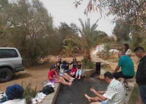 Best Time to Visit Siwa Oasis Egypt: A Seasonal Guide for the Perfect Desert Escape