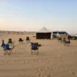 صوره 25 85x85